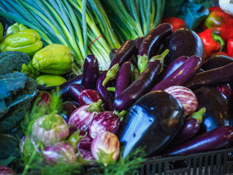 Murwillumbah Farmers' Market - Accommodation Sunshine Coast 1