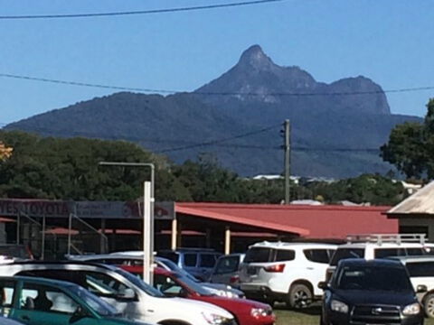 Murwillumbah Farmers' Market - Accommodation Sunshine Coast 2