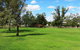 Namoi River And Woolshed Reserve - thumb 1