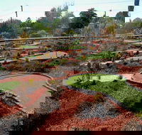 Orange Mini Golf - Accommodation Sunshine Coast