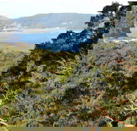 Patonga to Pearl Beach Walking Track
