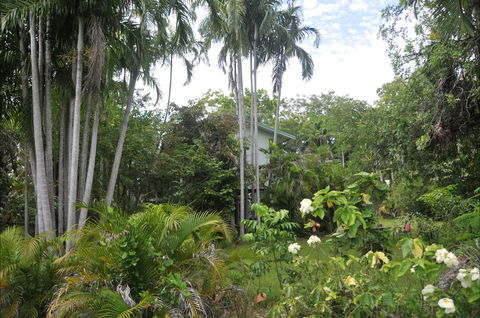 Rum Jungle Mine Manager's House - Accommodation Sunshine Coast 2
