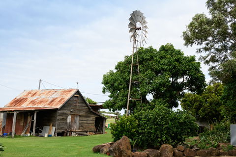 Tinaberries - Accommodation Sunshine Coast 1