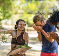 Tjapukai Aboriginal Cultural Park - Accommodation Sunshine Coast