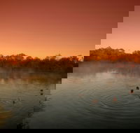 Witjira National Park - Accommodation Sunshine Coast