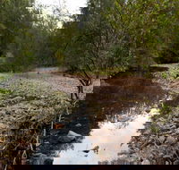 Budawang National Park - Accommodation Sunshine Coast