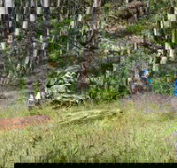 Federal Falls Walk - Accommodation Sunshine Coast