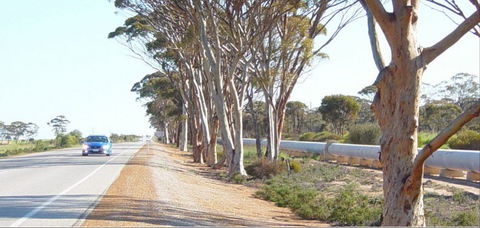 Golden Pipeline Heritage Trail - Accommodation Sunshine Coast 0