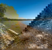 Jewfish Walk - Accommodation Sunshine Coast