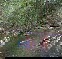 Kerewong State Forest - Accommodation Sunshine Coast