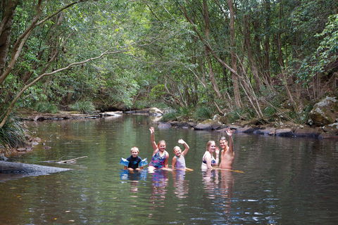 Kerewong State Forest - Accommodation Sunshine Coast 0