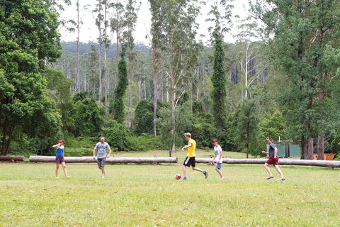 Kerewong State Forest - Accommodation Sunshine Coast 1