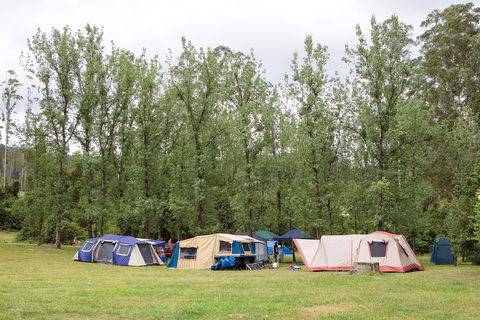 Kerewong State Forest - Accommodation Sunshine Coast 2