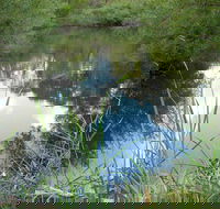 Mullion Range State Conservation Area - Accommodation Sunshine Coast