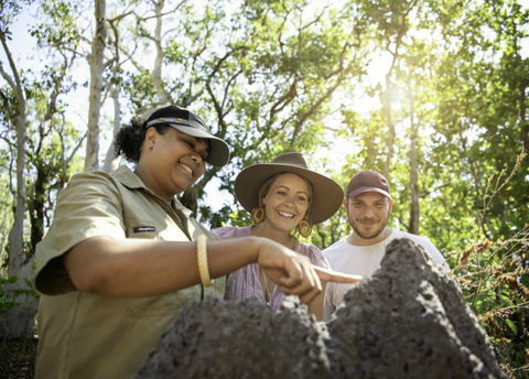 Natures Way - Accommodation Sunshine Coast 1