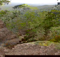 Pigeon House Mountain Didthul Walking Track - Accommodation Sunshine Coast