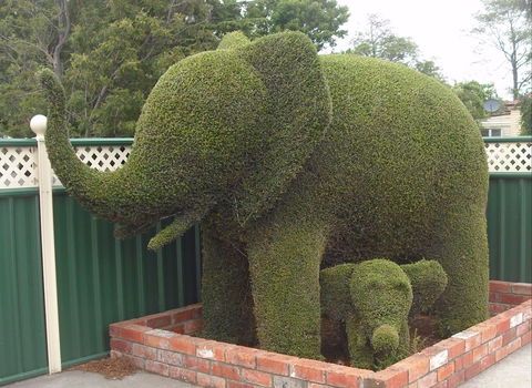 Railton: Town Of Topiary - Accommodation Sunshine Coast 0