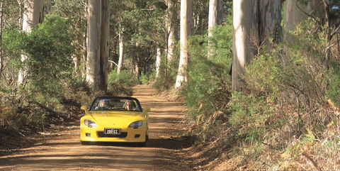 Scotsdale Tourist Drive - Accommodation Sunshine Coast 0