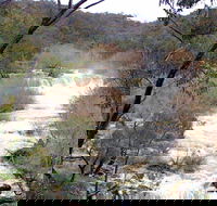 The Falls Water Falls - Accommodation Sunshine Coast