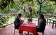The Aussie Stop Offering Breakfast With Koalas - thumb 0