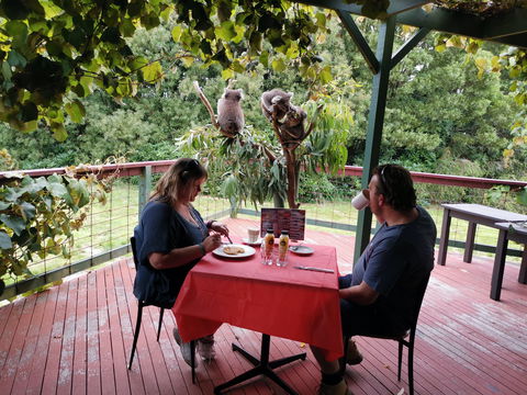 The Aussie Stop Offering Breakfast With Koalas - Accommodation Sunshine Coast 0