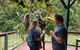 The Aussie Stop Offering Breakfast With Koalas - thumb 1