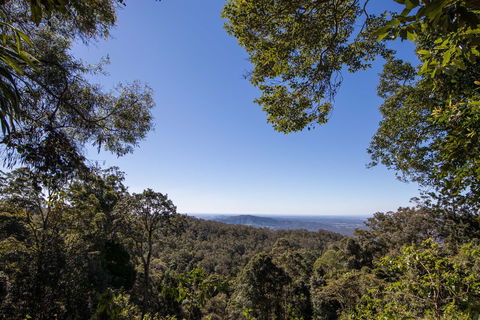 Thylogale Track - Accommodation Sunshine Coast 2