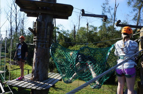 Trees Adventure - Lane Poole Park - Accommodation Sunshine Coast 0