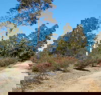 Werakata National Park - Accommodation Sunshine Coast