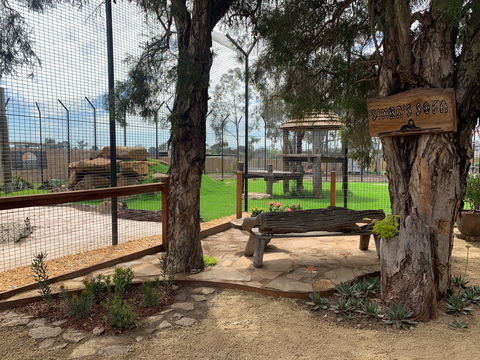 Zambi Wildlife Retreat - Accommodation Sunshine Coast 1