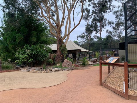 Zambi Wildlife Retreat - Accommodation Sunshine Coast 2