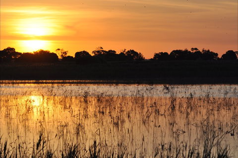 Bool Lagoon Game Reserve And Hacks Lagoon Conservation Park - Accommodation Sunshine Coast 0