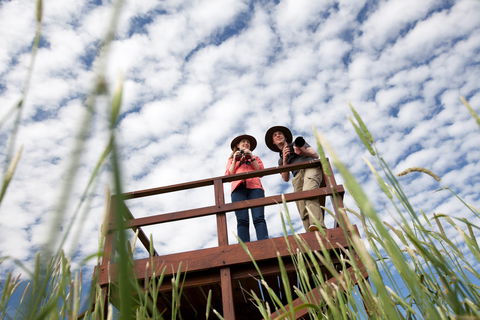 Bool Lagoon Game Reserve And Hacks Lagoon Conservation Park - Accommodation Sunshine Coast 1