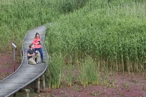 Bool Lagoon Game Reserve And Hacks Lagoon Conservation Park - Accommodation Sunshine Coast 2