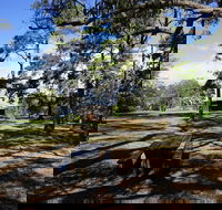 Bowen Mountain Park - Accommodation Sunshine Coast