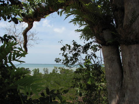 Channel Point Coastal Reserve - Accommodation Sunshine Coast 0
