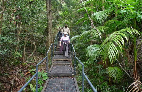 Falls Walking Track - Accommodation Sunshine Coast 0