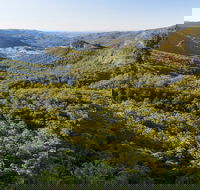 Gold Coast Hinterland Great Walk - Accommodation Sunshine Coast