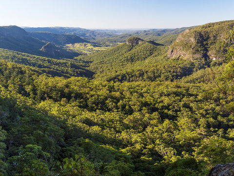 Gold Coast Hinterland Great Walk - Accommodation Sunshine Coast 0