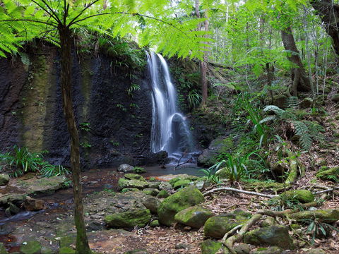 Gold Coast Hinterland Great Walk - Accommodation Sunshine Coast 1