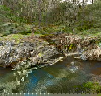 Gorge Walking Track - Accommodation Sunshine Coast