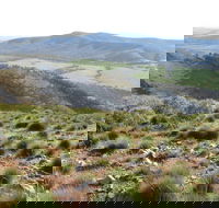Horseshoe Rim 4WD Adventure Track - Accommodation Sunshine Coast