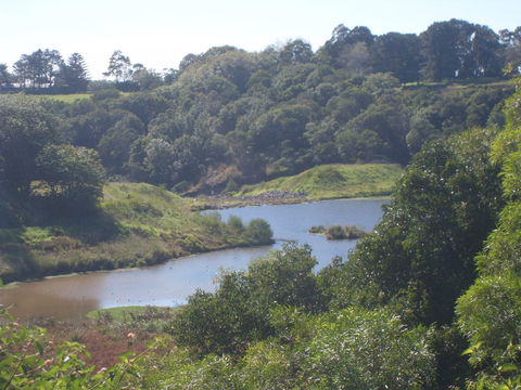 Jerrara Dam - Accommodation Sunshine Coast 0