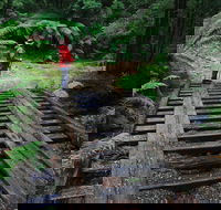 Montezuma Falls - Accommodation Sunshine Coast