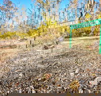 Mt Glenrowan Lookout Walk - Accommodation Sunshine Coast
