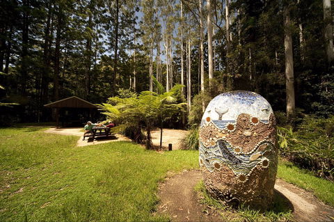 The Pines Picnic Area - Accommodation Sunshine Coast 0