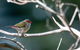Warrawong Wildlife Sanctuary - thumb 2