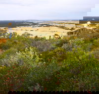 Archer Drive Scenic Drive and Lookout - Accommodation Sunshine Coast
