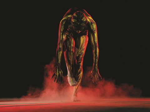 Bangarra Dance Theatre - Accommodation Sunshine Coast 0