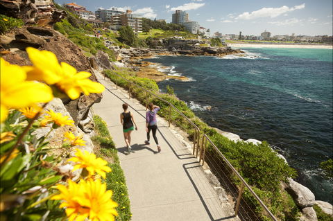 Bondi To Coogee Coastal Walk - Accommodation Sunshine Coast 2